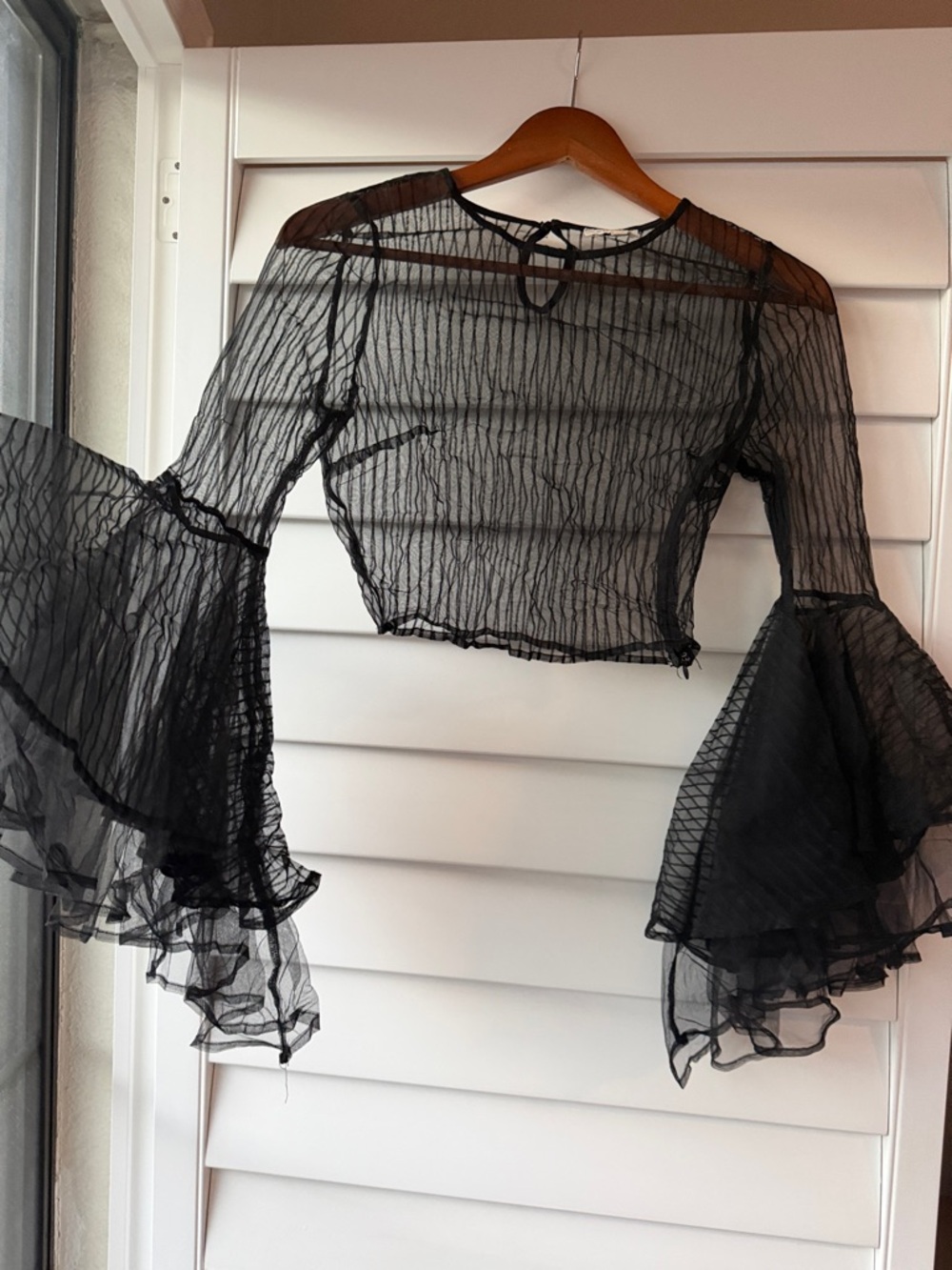 Sheer Black Bell-Sleeve Crop Top - Women's
